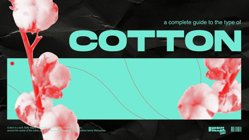 Exploring Different Types of Cotton The Secret Why Our TShirts Shine